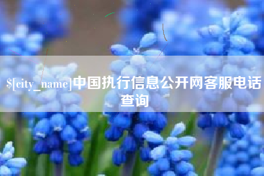 合肥中国执行信息公开网客服电话查询