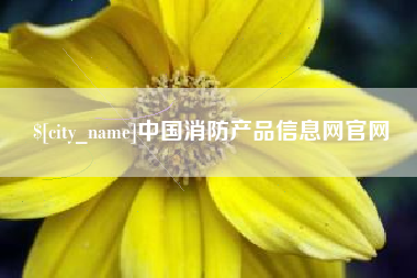 合肥中国消防产品信息网官网