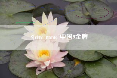 合肥中国9金牌