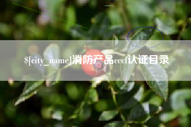 合肥消防产品cccf认证目录