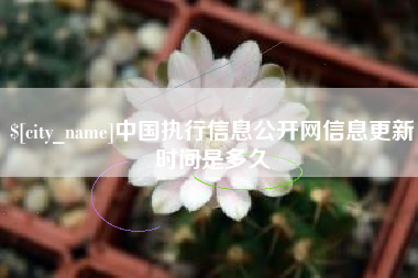 合肥中国执行信息公开网信息更新时间是多久