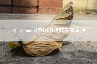 合肥中国消防救援教育网