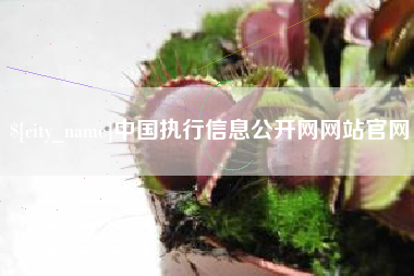 合肥中国执行信息公开网网站官网