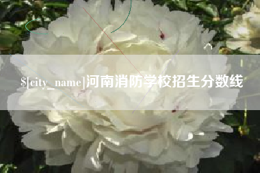 合肥河南消防学校招生分数线