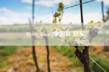 合肥中国队 冠军