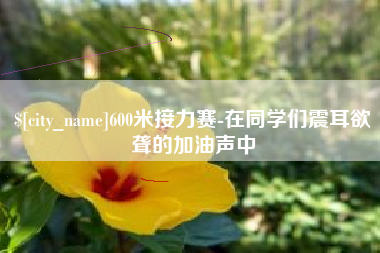 合肥600米接力赛-在同学们震耳欲聋的加油声中