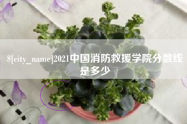 合肥2021中国消防救援学院分数线是多少