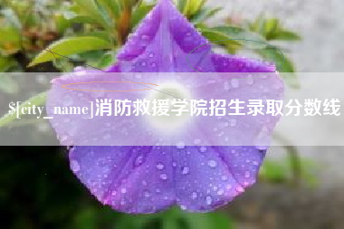 合肥消防救援学院招生录取分数线