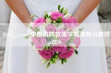 合肥中国消防救援学院录取分数线2020