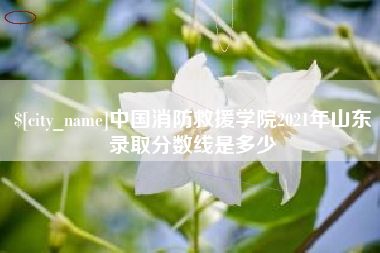 合肥中国消防救援学院2021年山东录取分数线是多少