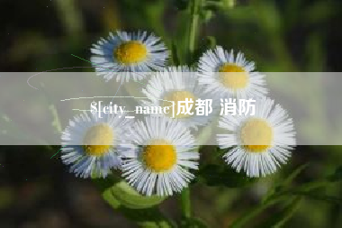 合肥成都 消防