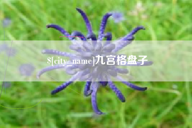 合肥九宫格盘子