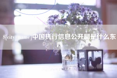 合肥中国执行信息公开网是什么东西