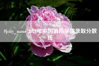 合肥2021年中国消防学院录取分数线
