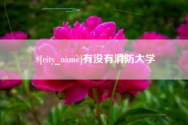 合肥有没有消防大学