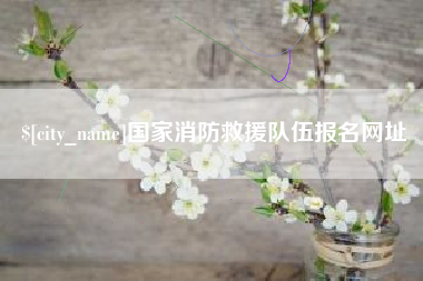 合肥国家消防救援队伍报名网址