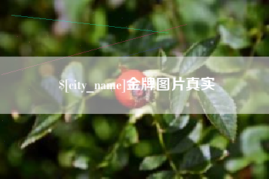合肥金牌图片真实