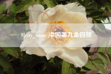 合肥中国第九金回放