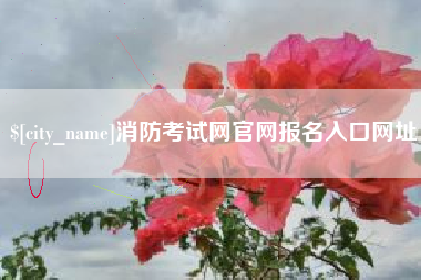 合肥消防考试网官网报名入口网址