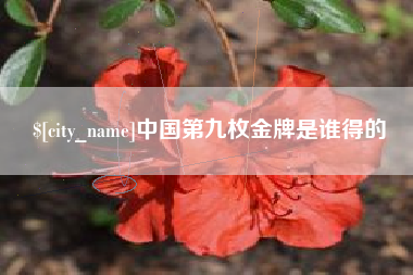 合肥中国第九枚金牌是谁得的