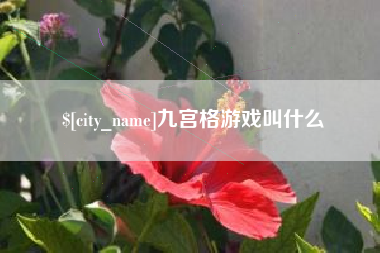 合肥九宫格游戏叫什么