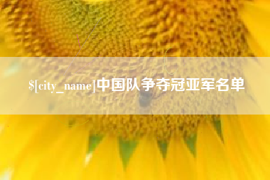合肥中国队争夺冠亚军名单