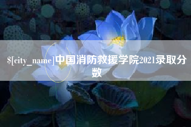 合肥中国消防救援学院2021录取分数