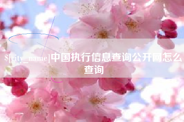 合肥中国执行信息查询公开网怎么查询