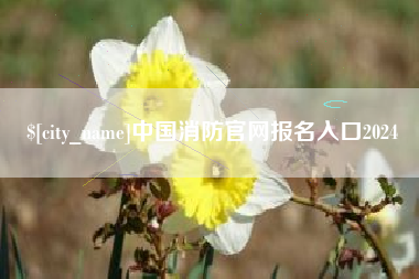 合肥中国消防官网报名入口2024