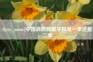 合肥中国消防救援学院是一本还是二本
