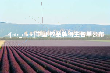 合肥中国9枚金牌得主名单公布