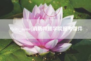 合肥消防救援学院报考条件