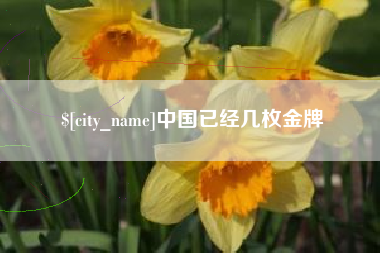合肥中国已经几枚金牌