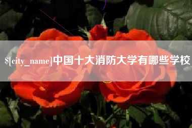 合肥中国十大消防大学有哪些学校