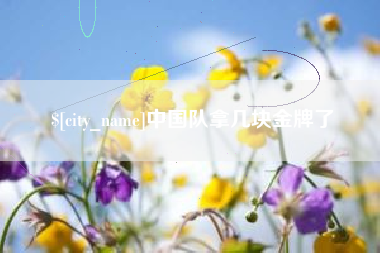 合肥中国队拿几块金牌了