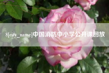 合肥中国消防中小学公开课回放