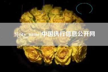 合肥中国执行信息公开网