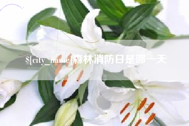 合肥森林消防日是哪一天