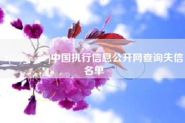 合肥中国执行信息公开网查询失信名单