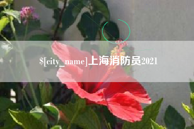 合肥上海消防员2021