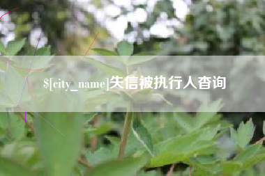 合肥失信被执行人杳询