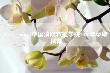 合肥中国消防救援学院2020年录取结果