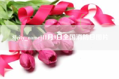 合肥11月9日全国消防日图片