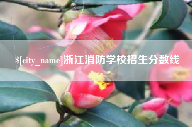 合肥浙江消防学校招生分数线