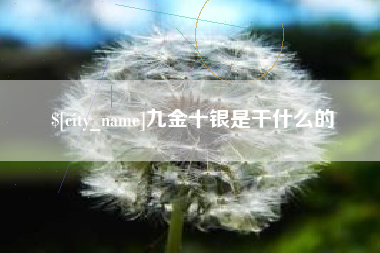 合肥九金十银是干什么的