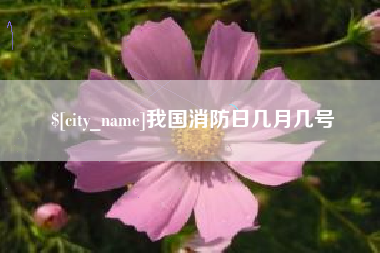 合肥我国消防日几月几号