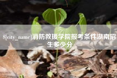 合肥消防救援学院报考条件湖南招生多少分