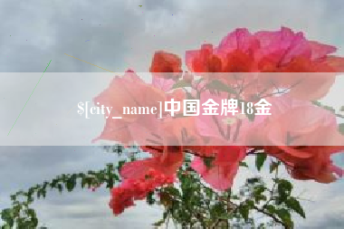 合肥中国金牌18金