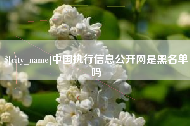 合肥中国执行信息公开网是黑名单吗