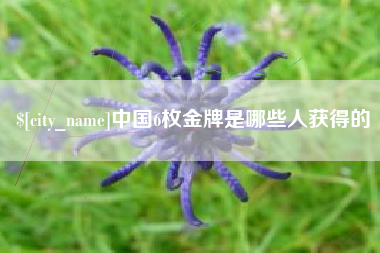 合肥中国6枚金牌是哪些人获得的